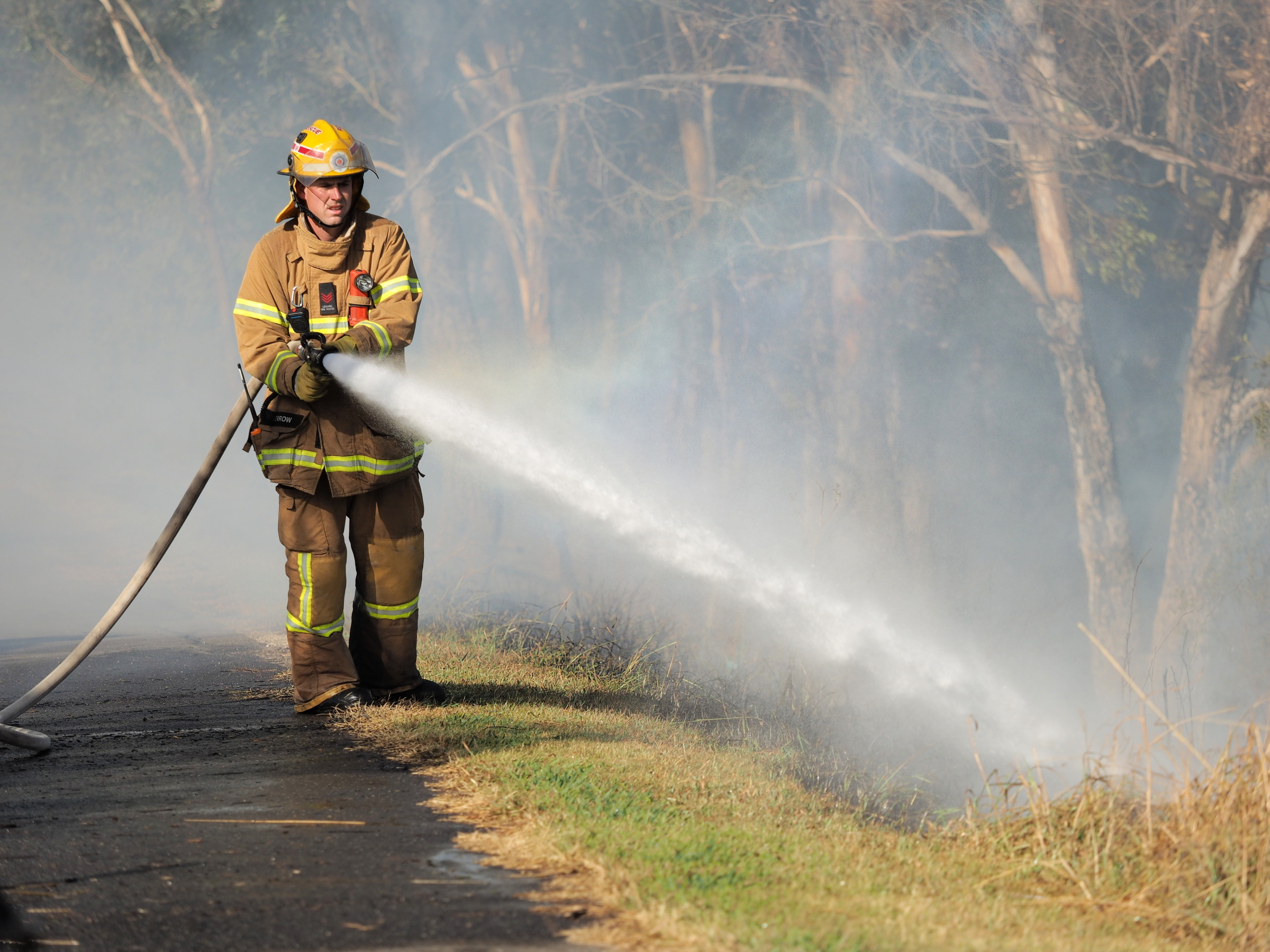Fire Brigades